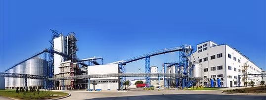Oilseed processing